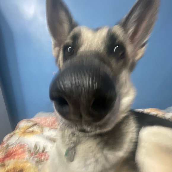 garciasydney37